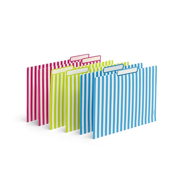 Classic Assorted Striped File Folders, Set of 6